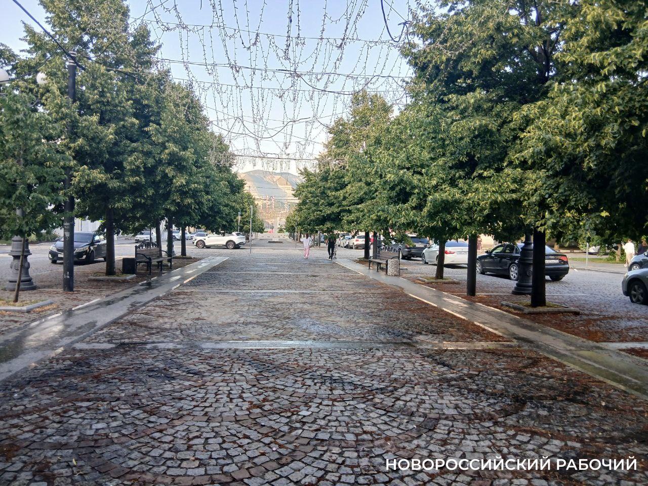 Центральная улица Новороссийска останется без «Звездного неба»