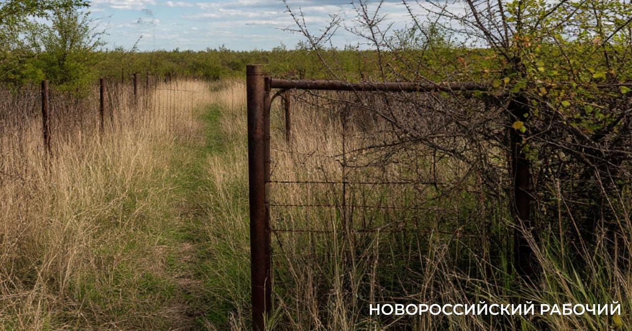 Почему новороссийцы присматриваются к пустым участкам