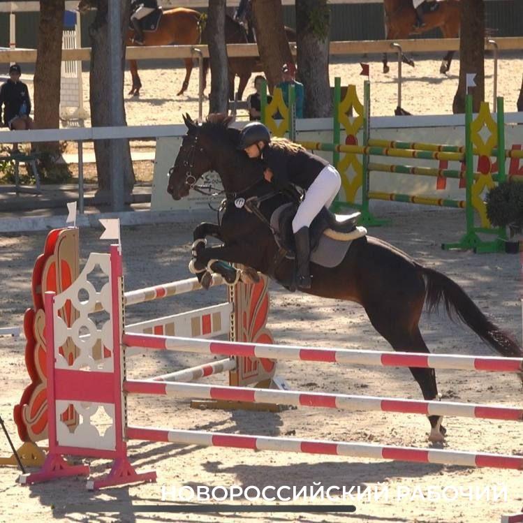 Новороссийские наездники блеснули на «Кубке губернатора»