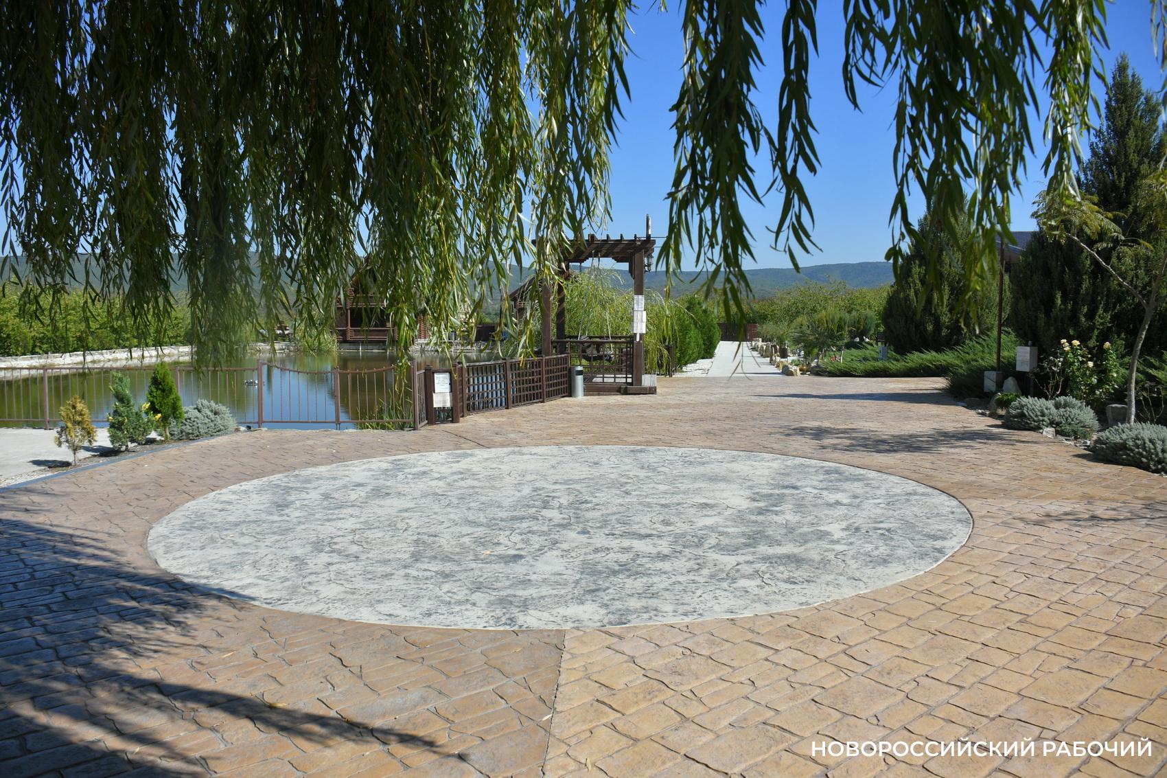 Советы дня на 6 октября: о ночном кабаре, любителях чеснока и местах обитания