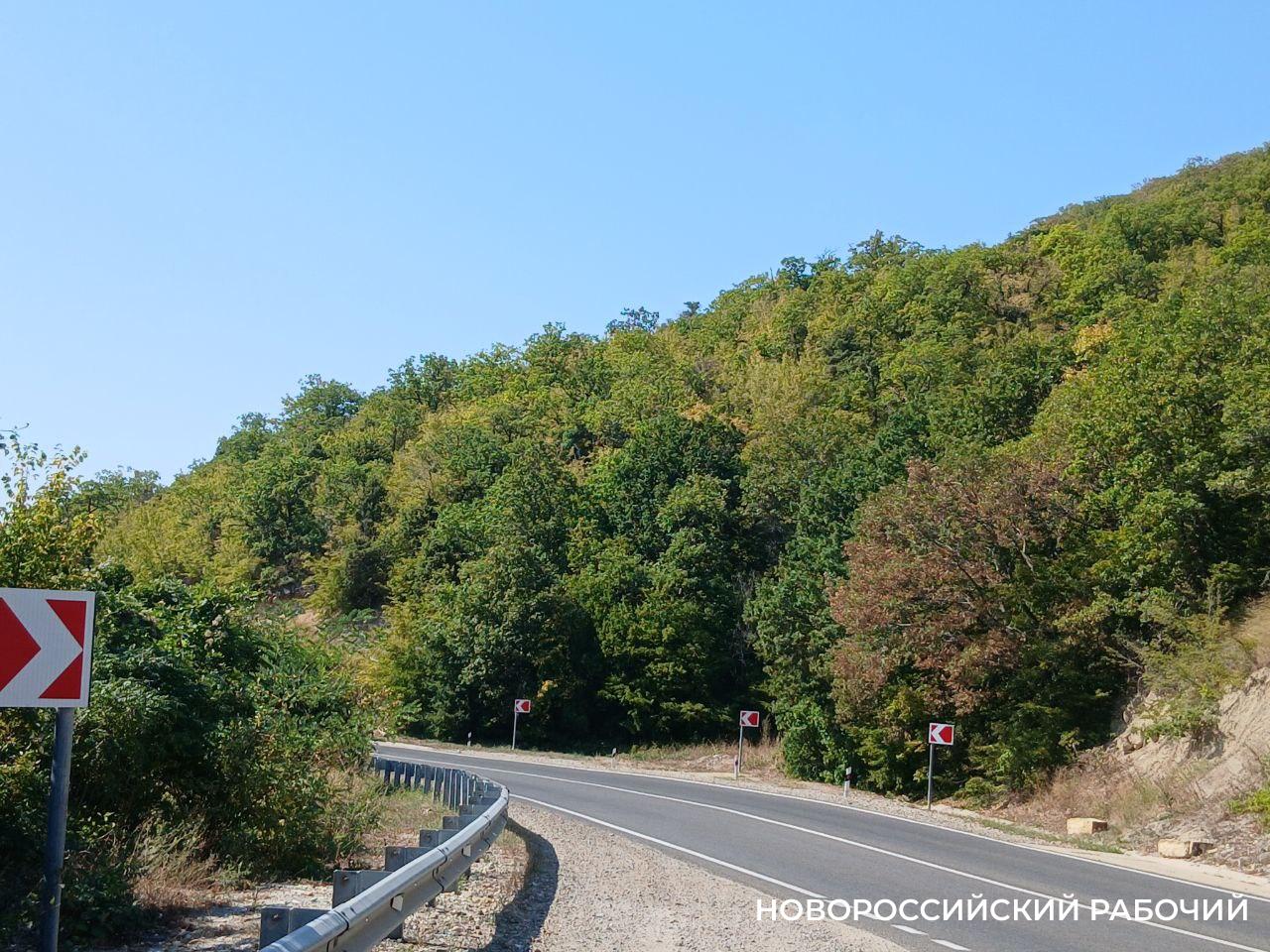 В Новороссийске погибла женщина-водитель, врезавшись в ограждение