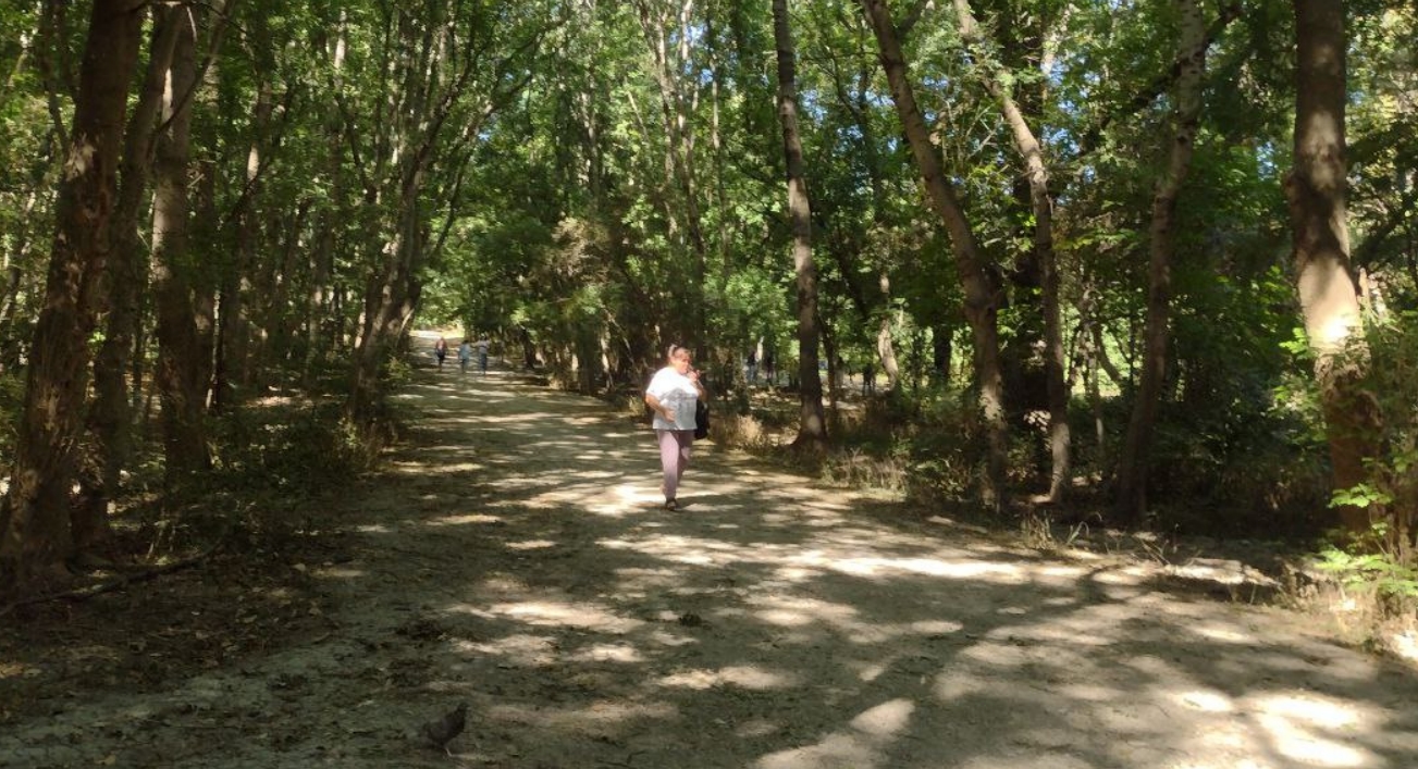 В Новороссийске загадочным образом обнажились дорожки дореволюционной каменной кладки