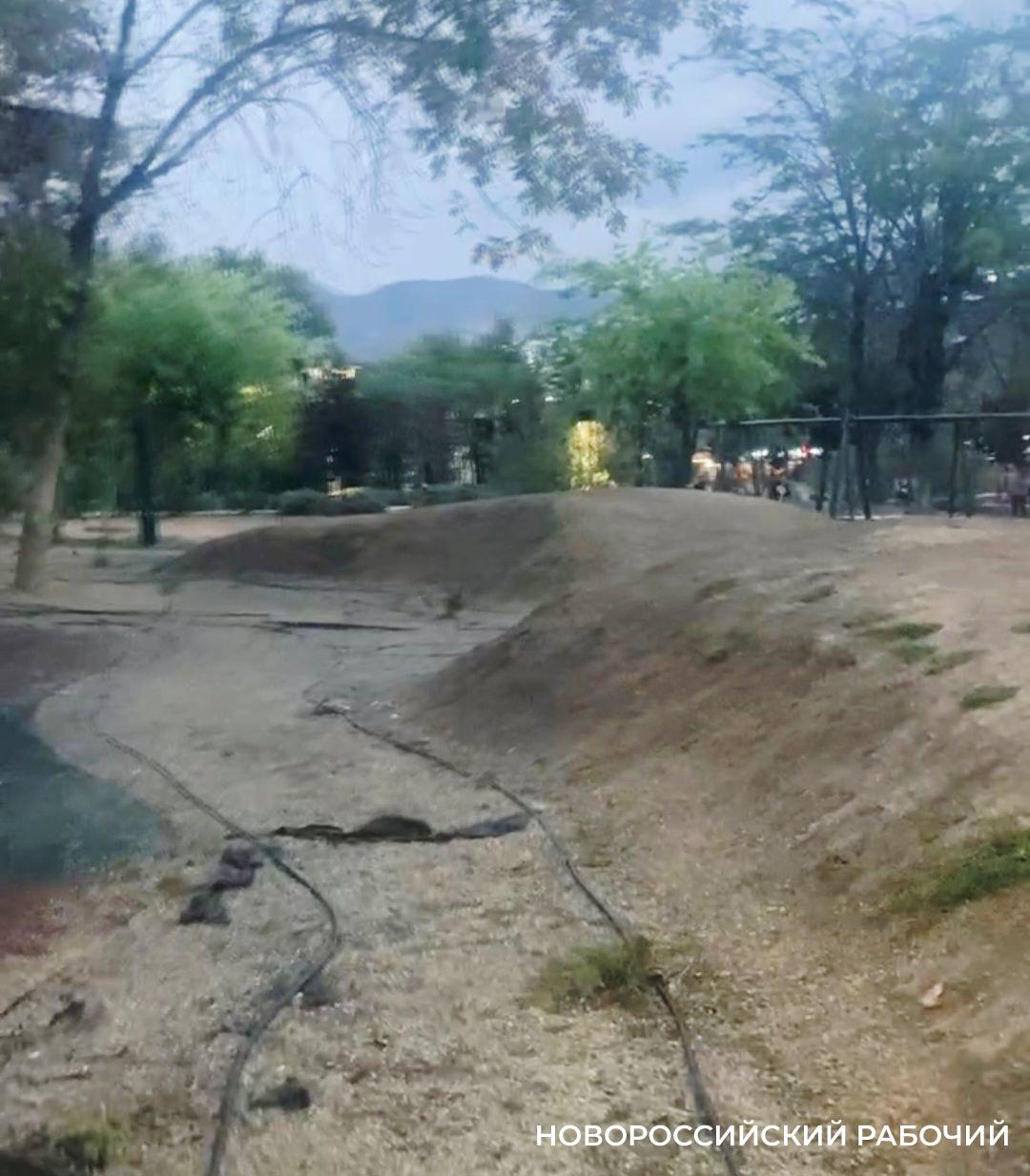 Искусственные холмы в парке Новороссийска могут заменить скалодромом