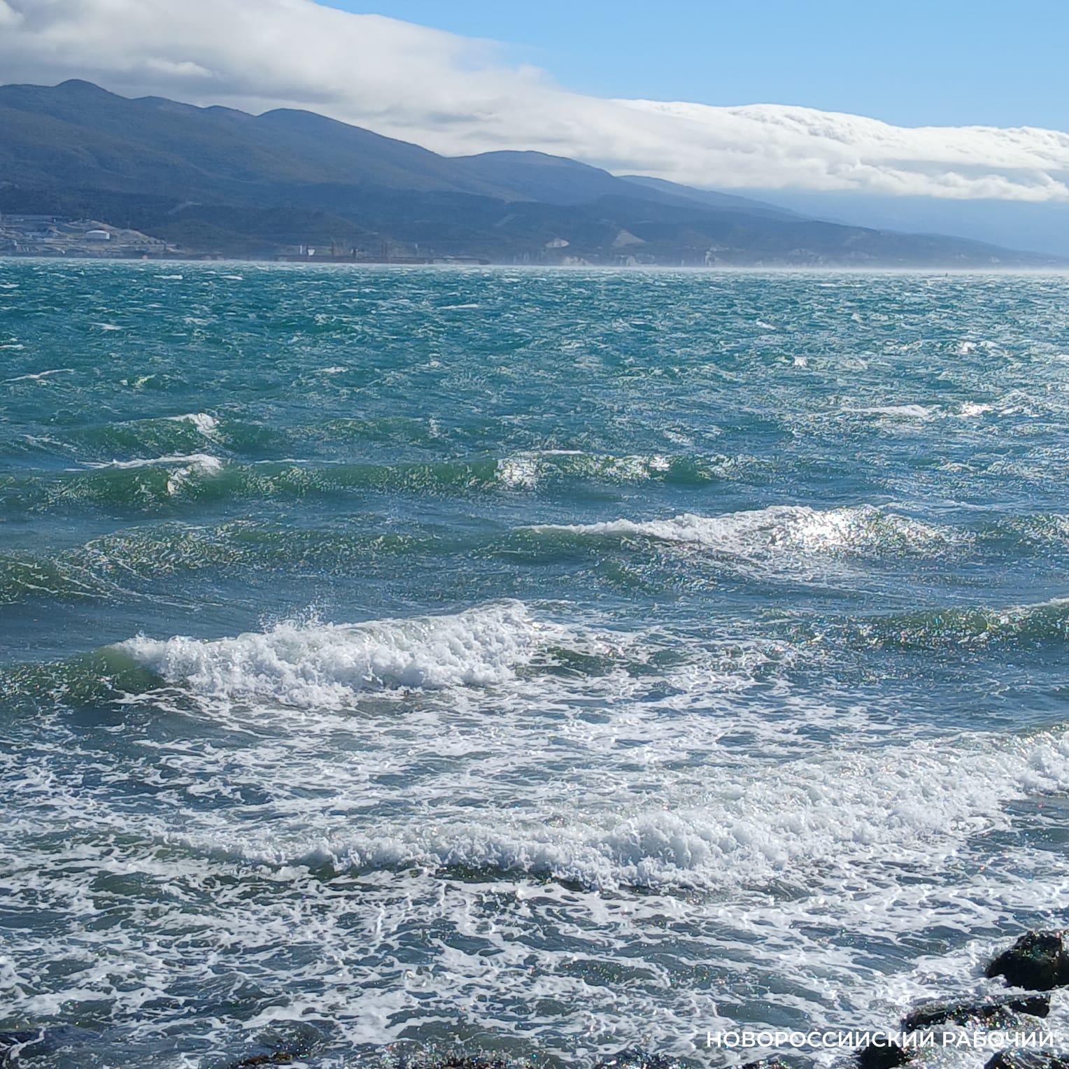 Летом на пляжах Новороссийска утонул 1 человек