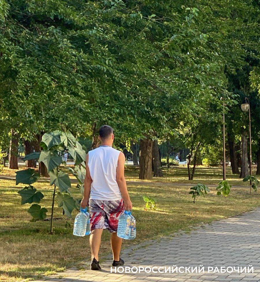 В Новороссийске общественники носят воду из дома, чтобы полить деревья в центре города