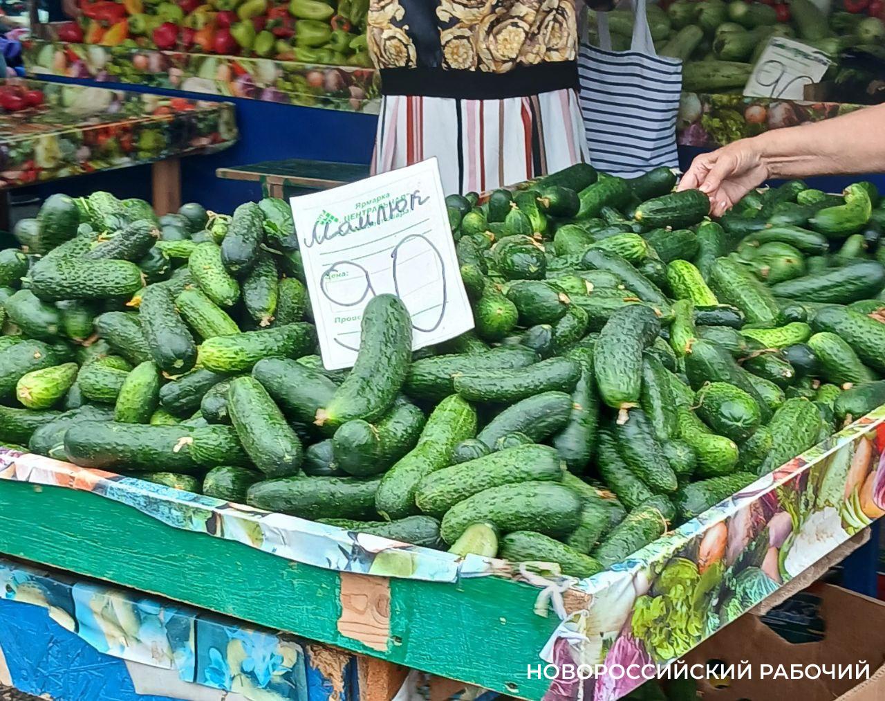 В Новороссийске ждут вторую огуречную волну. Дешевой она не будет