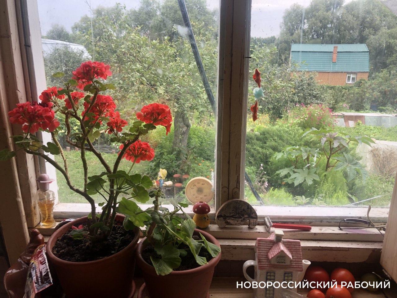 Советы дня на 13 сентября: о бионике, шоколадках и основании Краснодарского края