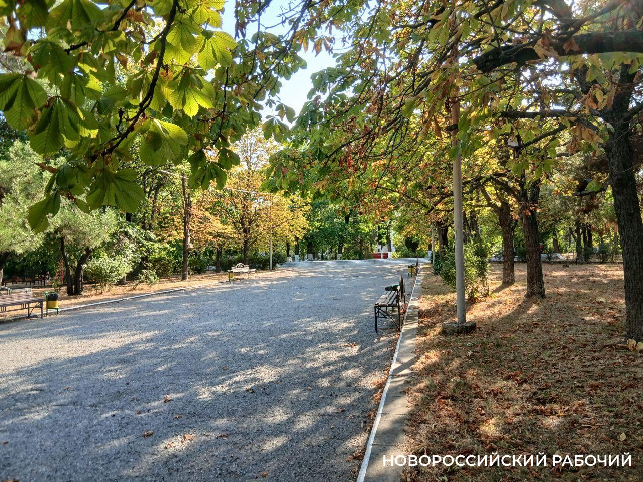 Как сохранить дух старой площади, которую пора благоустраивать. От жителей Новороссийска ждут предложений