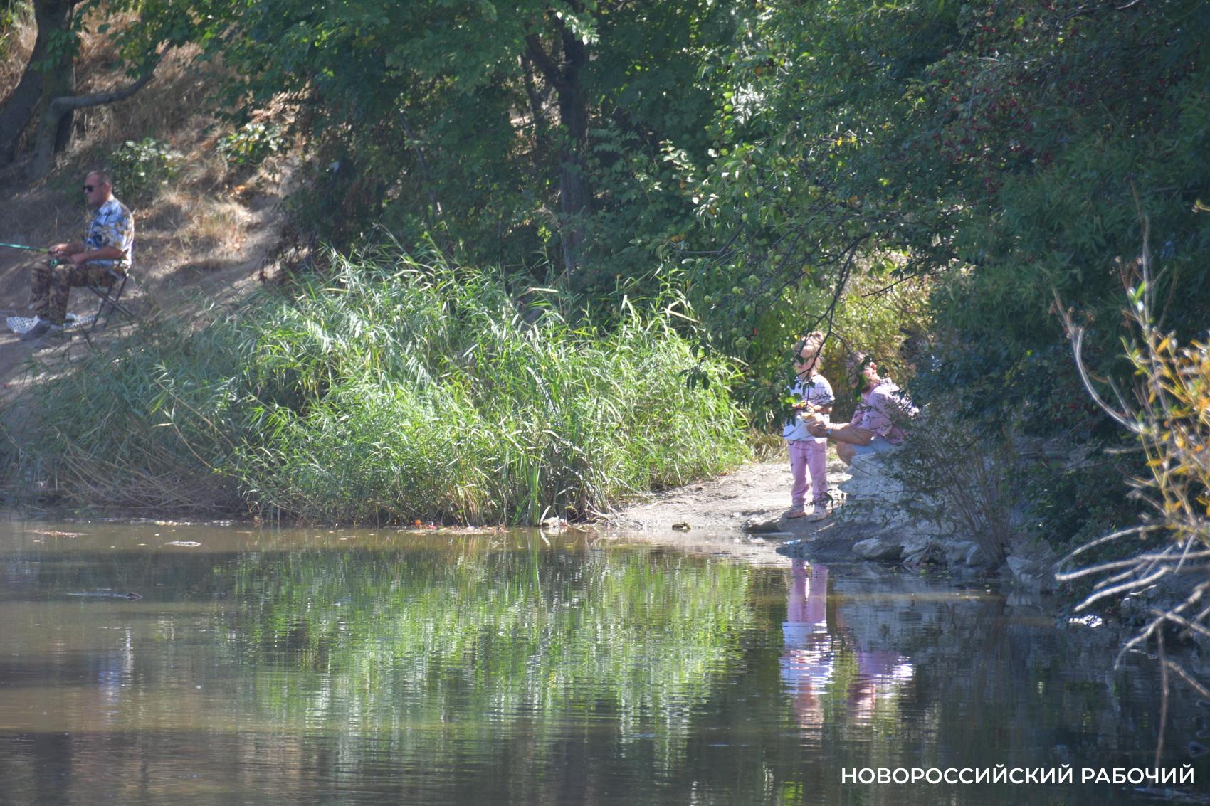 Южные пруды в Новороссийске могут превратиться в непролазные болота