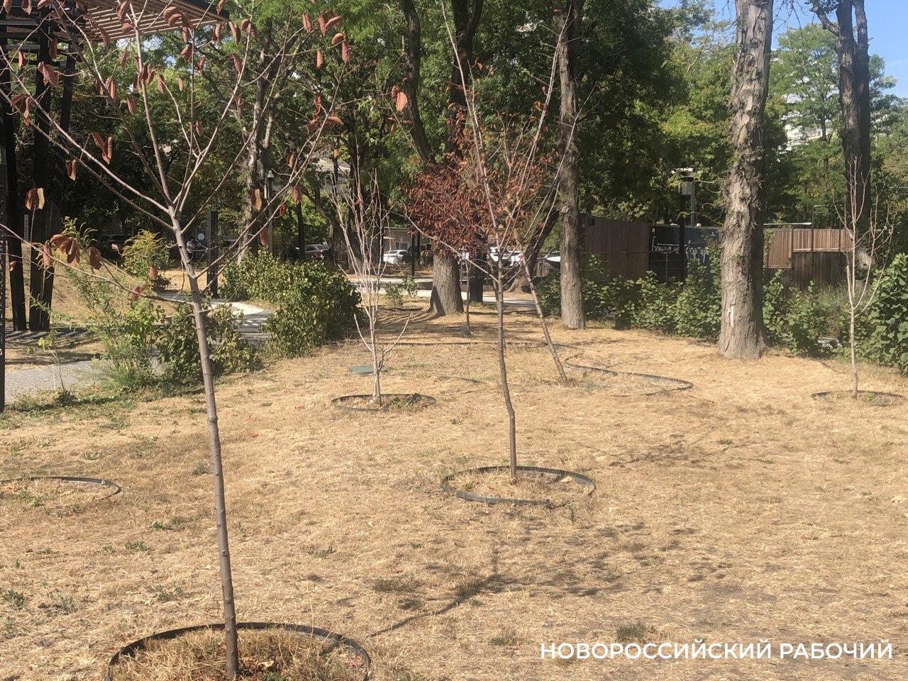 Виноваты вандалы и ветер – в парке Новороссийска провели инвентаризацию
