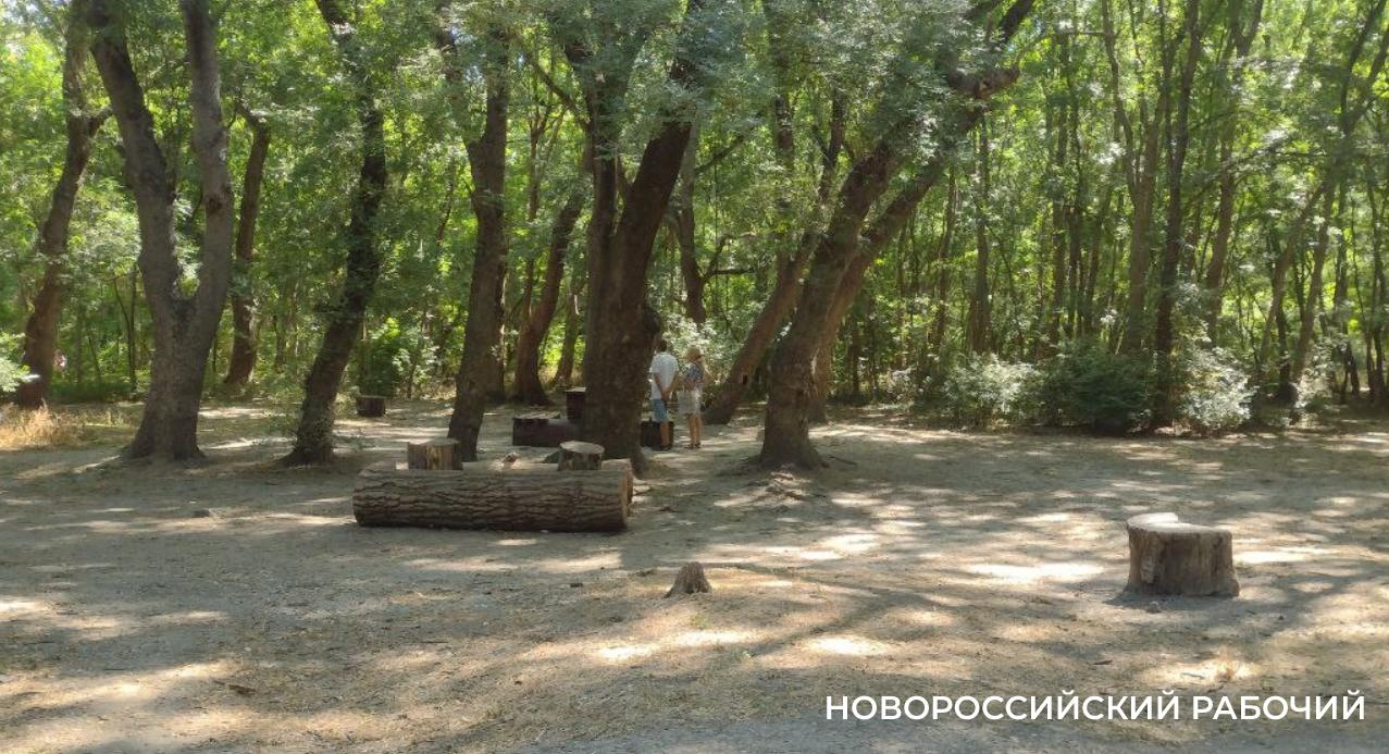 Солнечные батареи и ручная чистка ручьев – как благоустроить Пионерскую рощу в Новороссийске