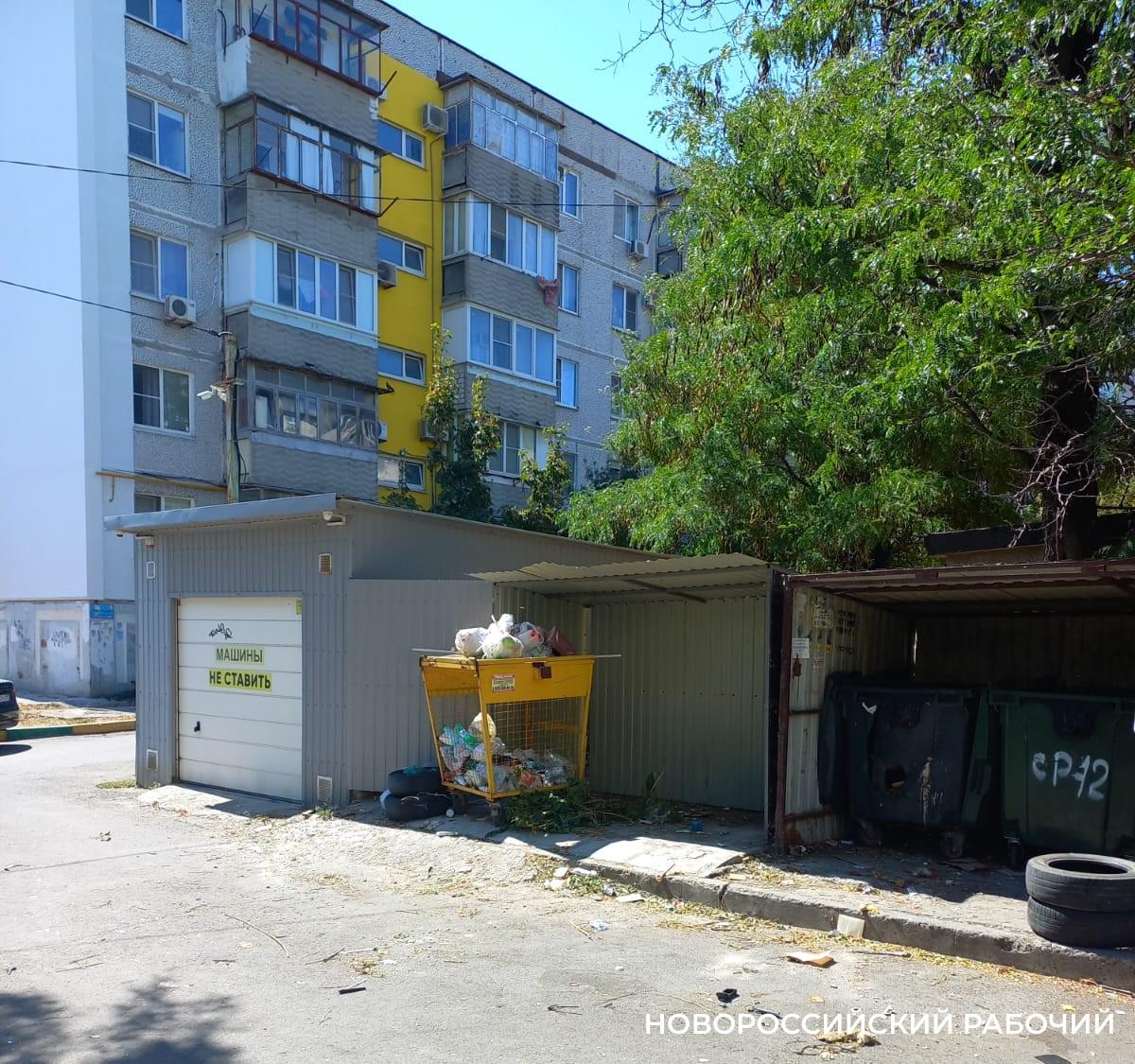 Новороссийцы не знают кого просить, чтобы вывезли мусор