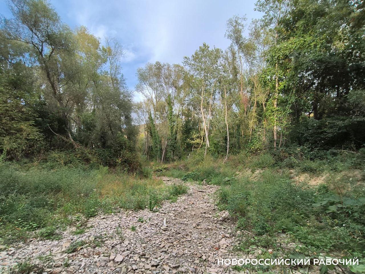 В Новороссийске пересыхают реки. Надеемся на дожди?