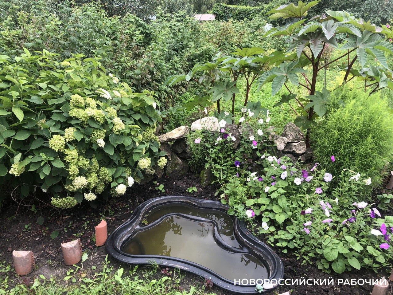 Советы дня на 25 октября: о расписании поездов, «Поле чудес» и гражданском правосудии