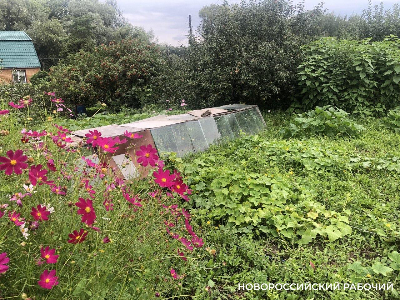 Советы дня на 23 сентября: об андроиде, любовных записках и принудительном выселении украинцев из Польши на родину