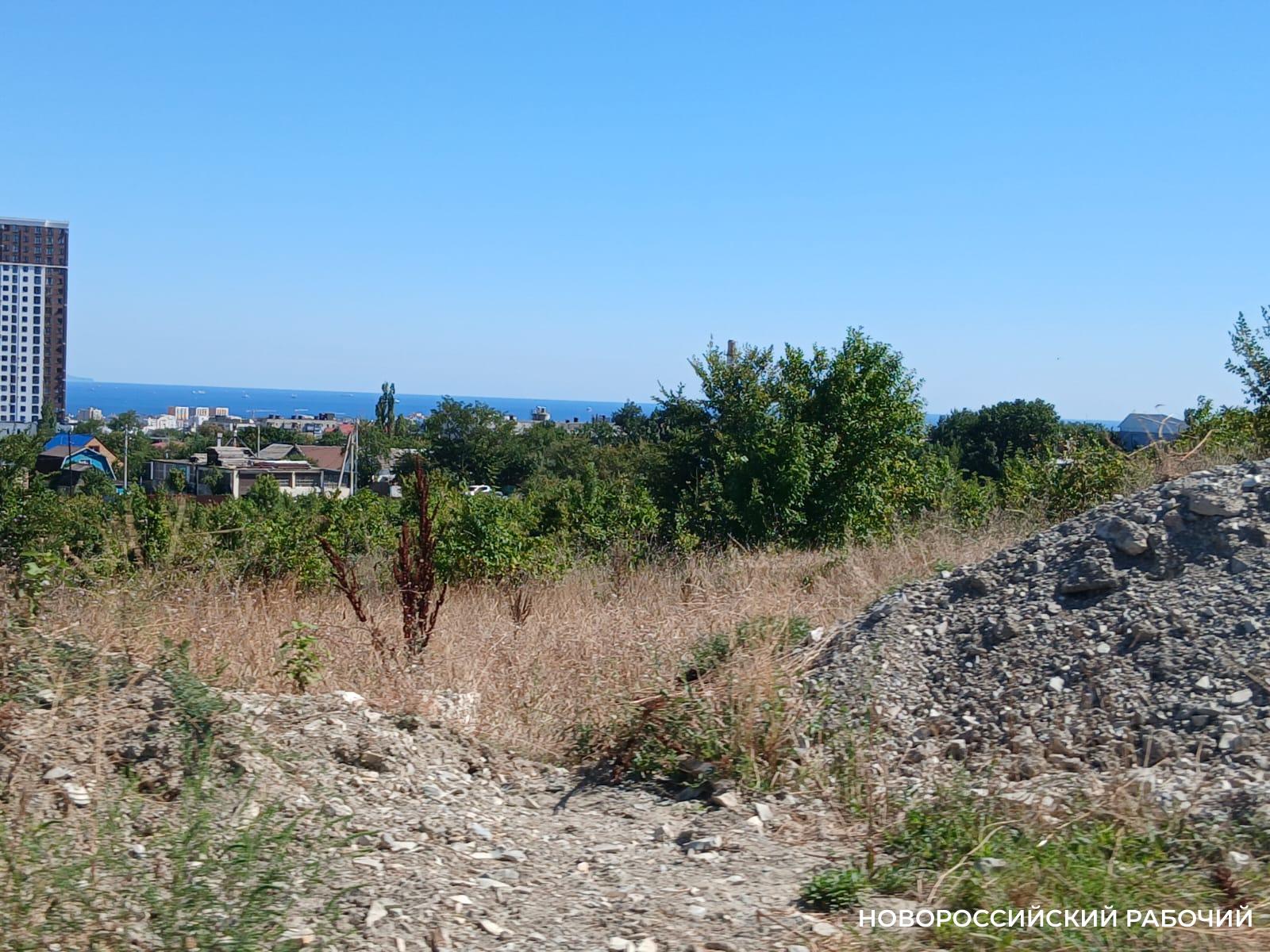 Бастрыкин заинтересовался судьбой участков на улице Сейнерной в Новороссийске