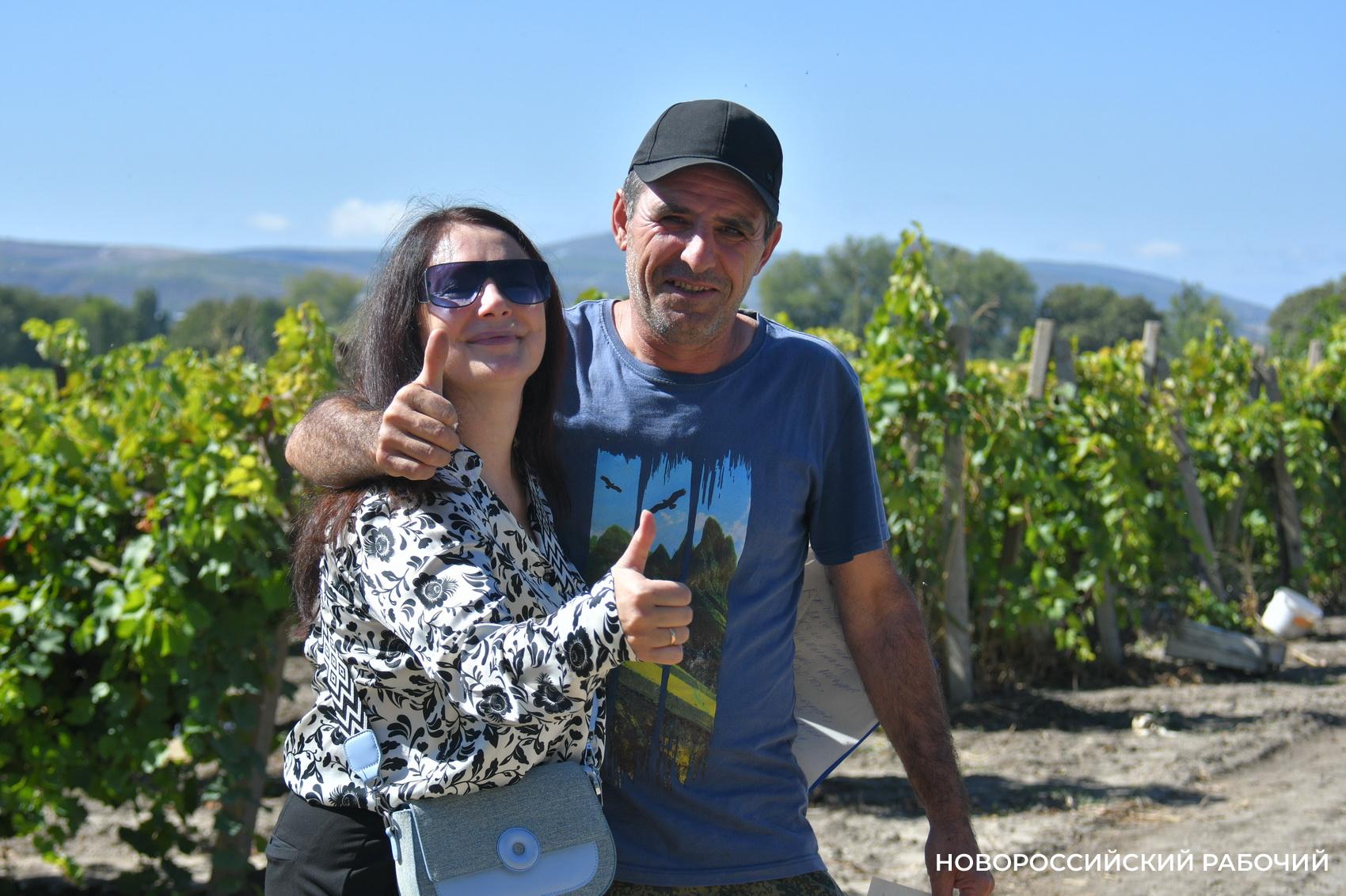 Интерес  к винодельням Кубани растет как на дрожжах. Новороссийск — в российских лидерах!