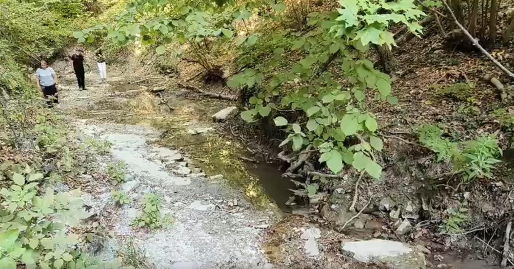 Ничего страшного. В Новороссийске экологи обследовали грязную воду Луначарских водопадов
