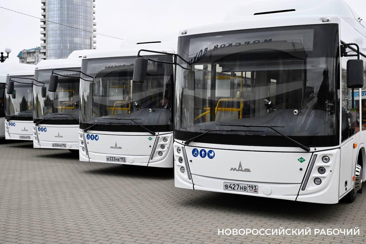 В Новороссийске добавится несколько десятков троллейбусов и автобусов. Кто сядет за руль?
