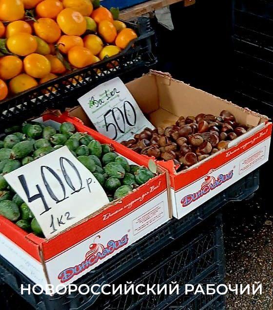 В Новороссийске появилась фейхоа: готовим «сырые» джемы