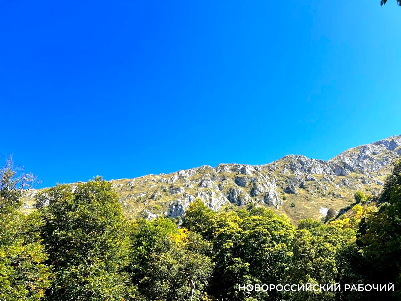 Советы дня на 31 октября: о работниках СИЗО, письме Хрущеву и «Наказе гражданину города Новороссийска»