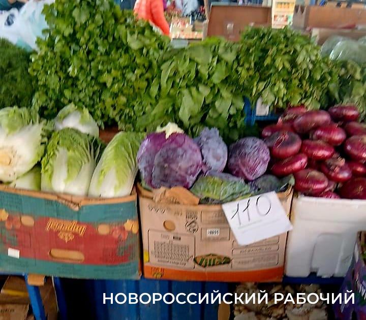 В Новороссийске пора квасить капусту и делать фиолетовые салаты