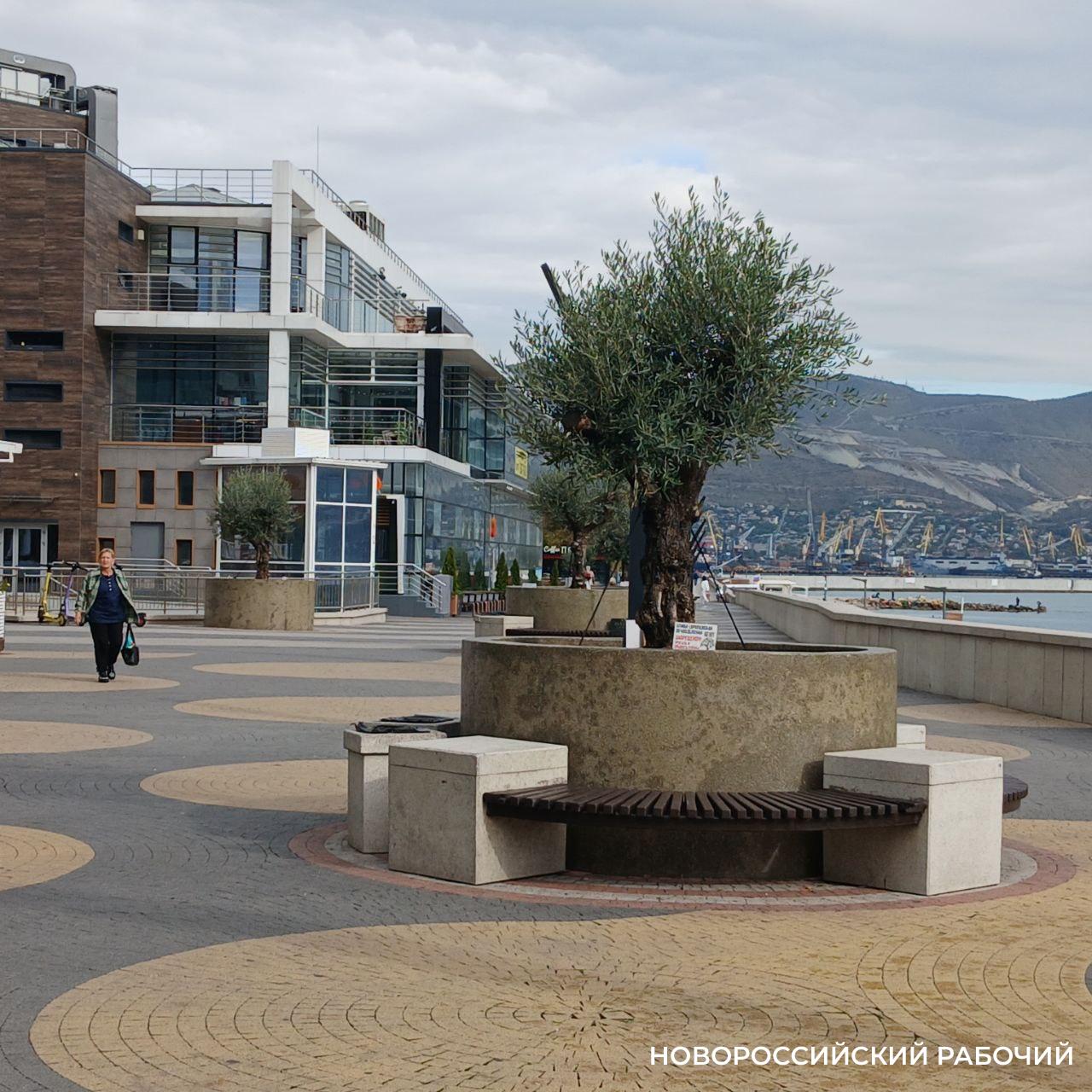 Советы дня на 13 октября: о простом языке, резиденции президента США и отваге на пожаре