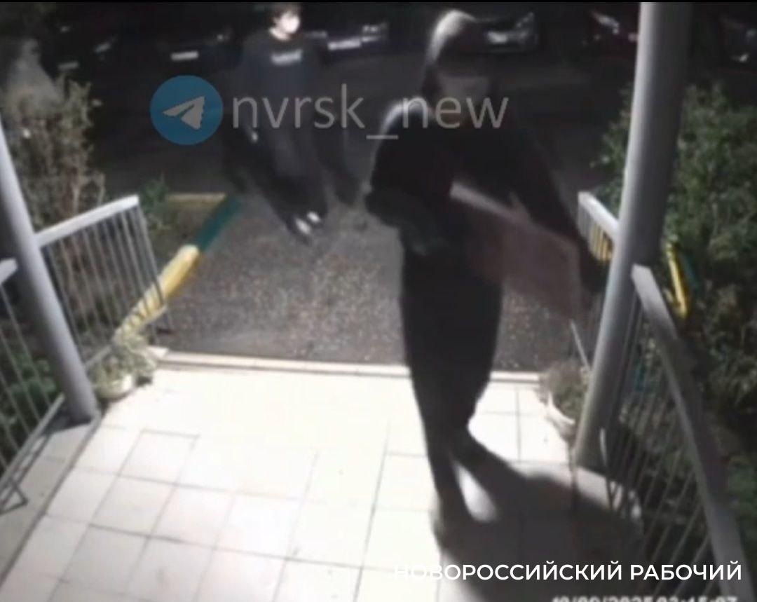 Парням из Красноярска за рекламу наркотиков в Новороссийске грозит до 15 лет лишения свободы