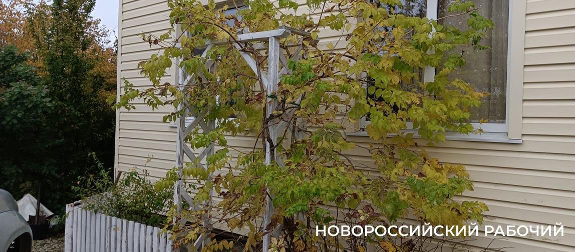 Советы дня на 19 ноября: об увековечивании памяти героев Великой Отечественной войны, павших в боях за город, запахе свежего хлеба и жертвах ДТП