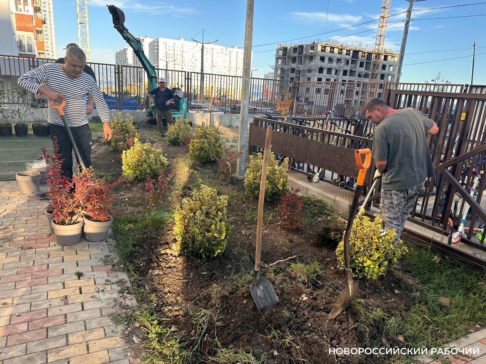 Школьники Новороссийска смогут выращивать деревья, если их научат