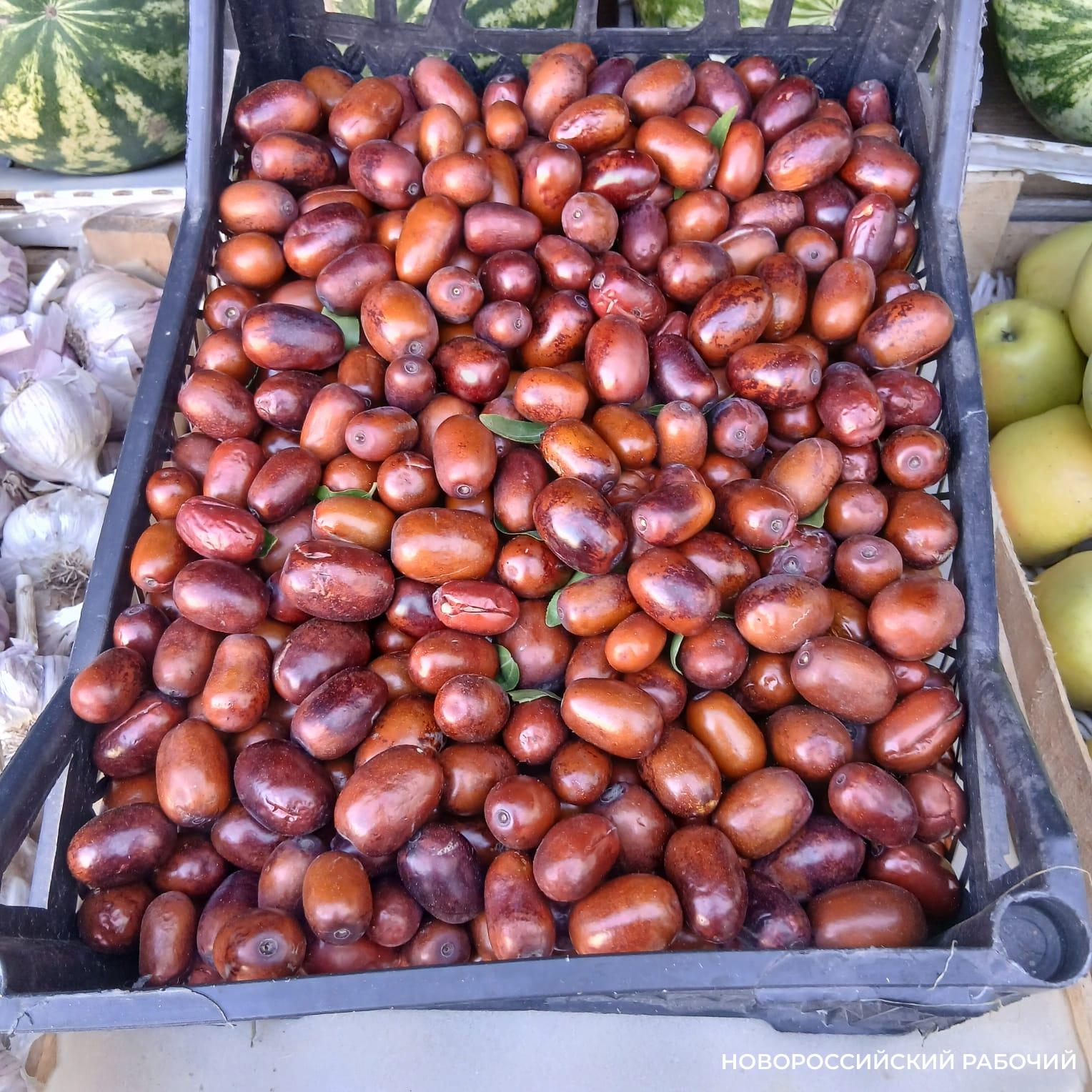 В Новороссийске продают экзотический зизифус  