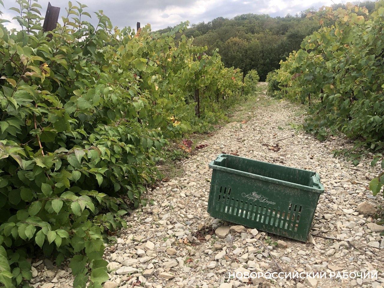 Советы дня на 19 октября: о стрептомицине, значении числа «Пи» и оценке своей жизни