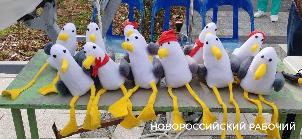 Сегодня «Добрый Новороссийск» собирает друзей и дарит праздник. Фоторепортаж «НР»