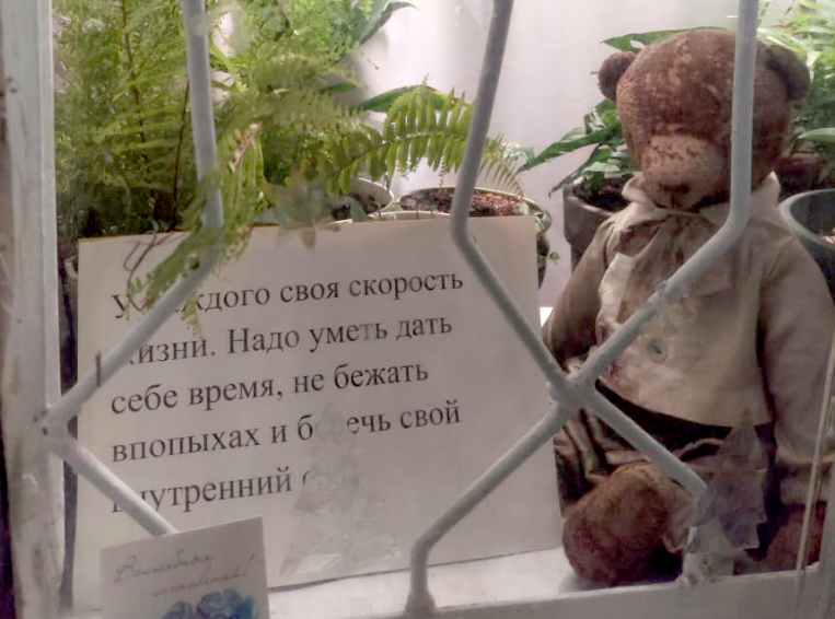 19 ноября — День плюшевого мишки! В Новороссийске мишки-философы Ирины Ковыневой продолжают делать жизнь теплее
