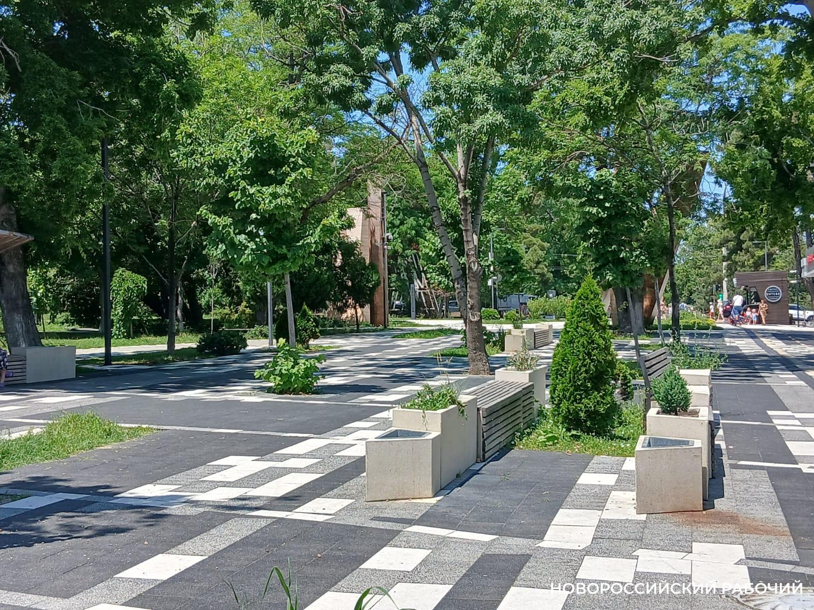 В Новороссийске прошла инвентаризация  парка Фрунзе. Работы впереди — полно