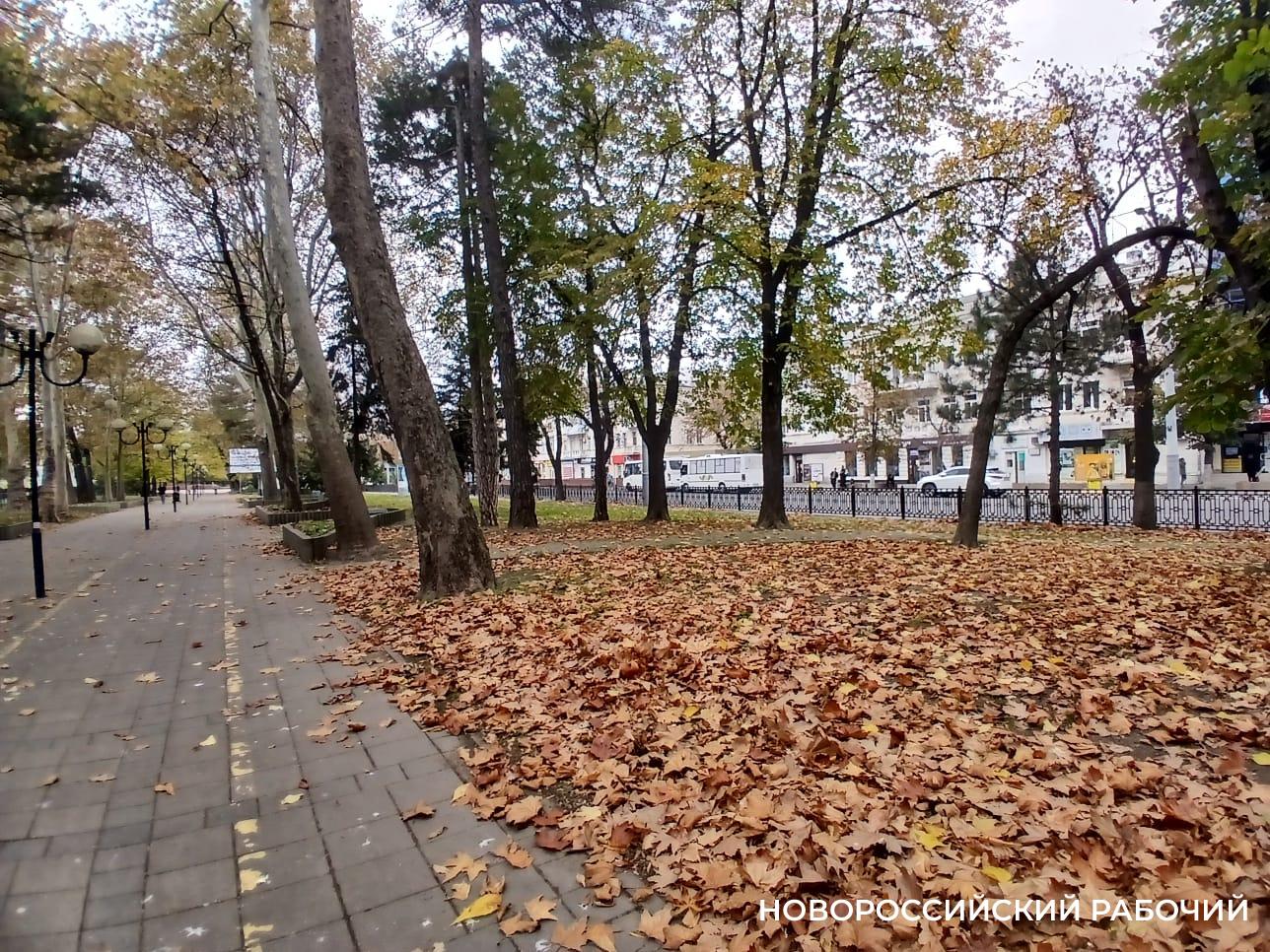 Осенняя хандра. Как пережить?