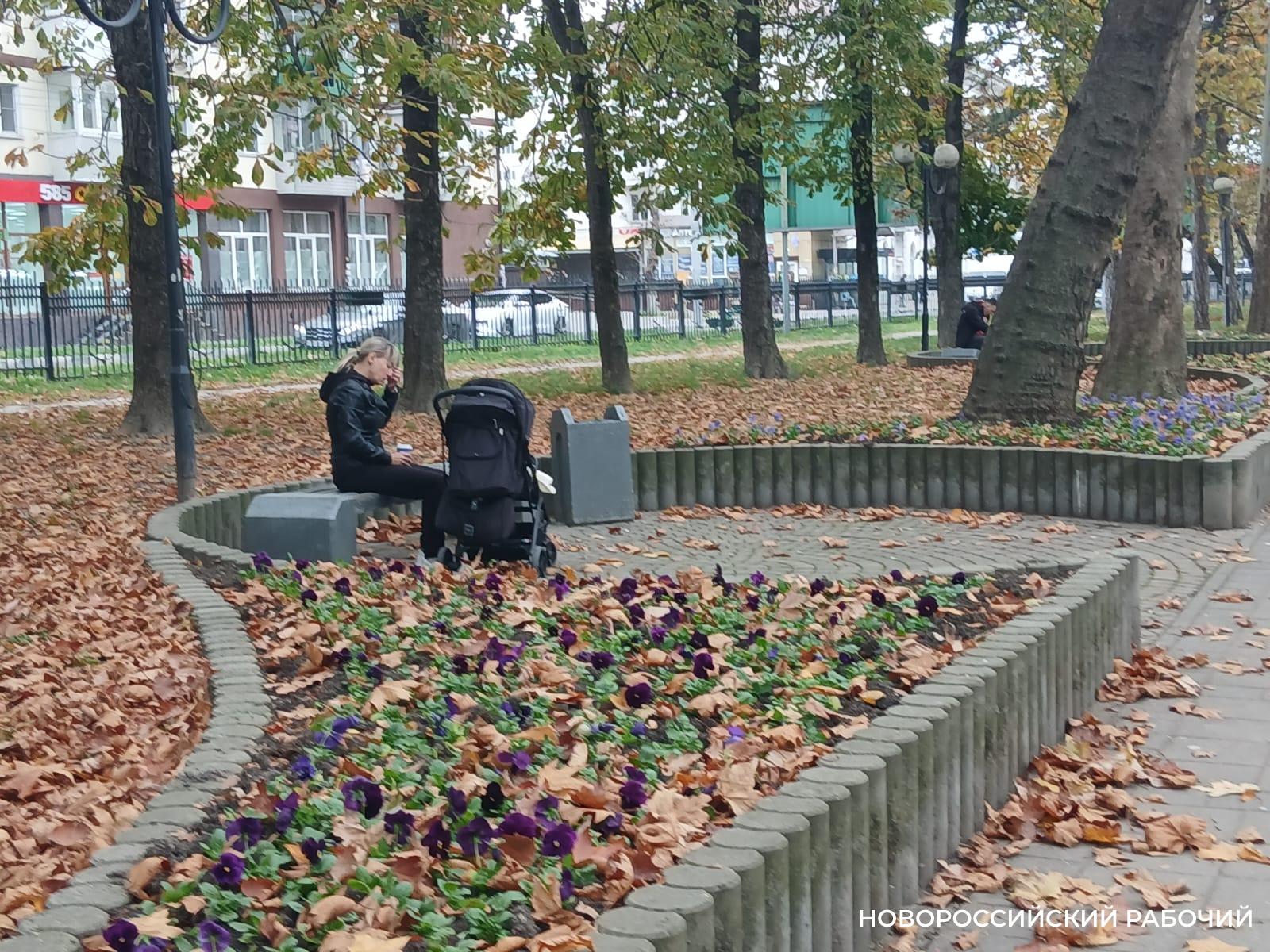 Прикарманьте парк