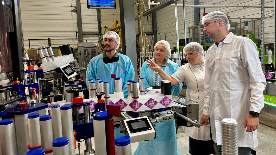 Винодельческое хозяйство из Анапы добилось экономического эффекта в 7 млн рублей благодаря бережливым технологиям