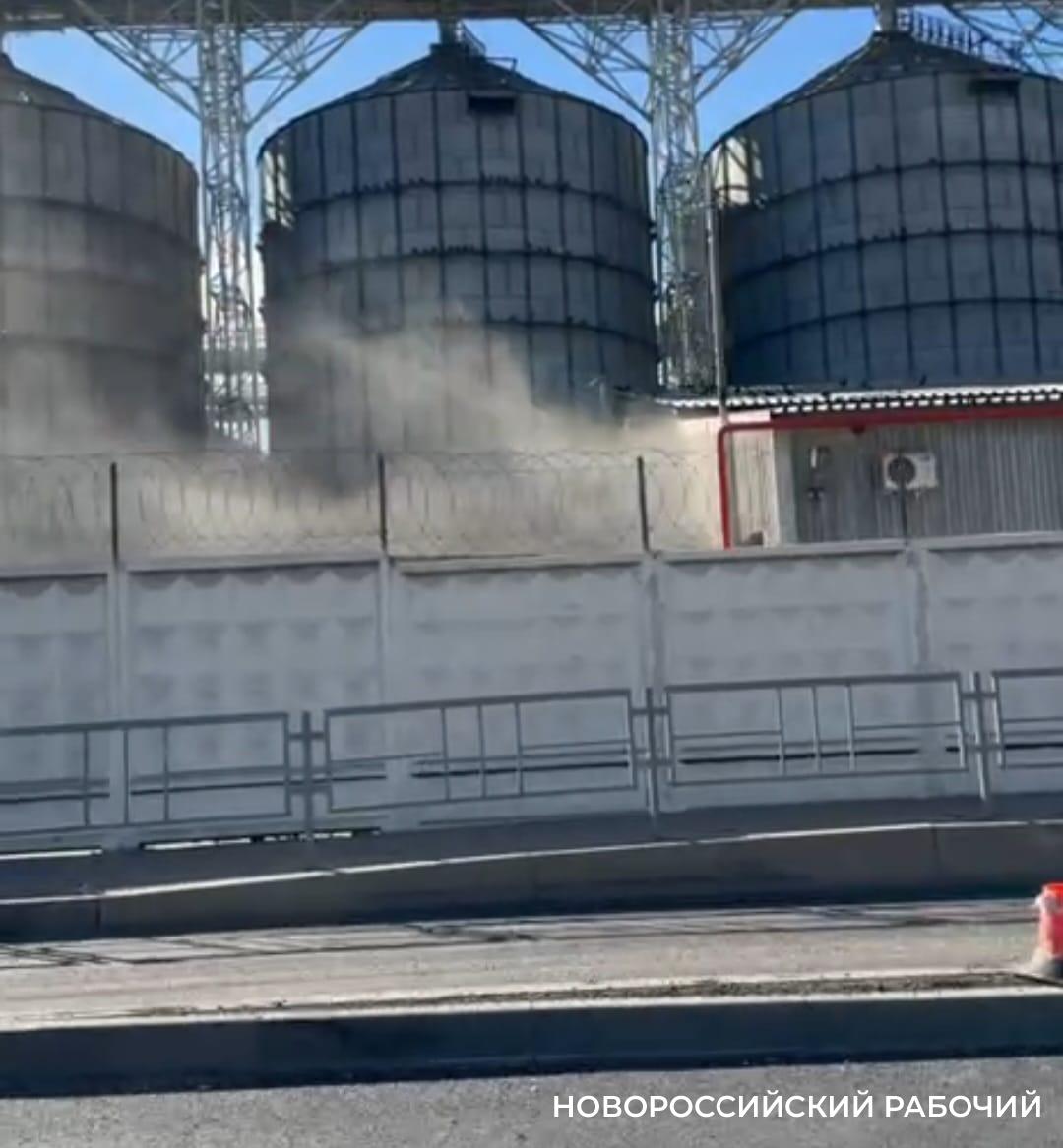 В зерновой терминал Новороссийска инвестируют больше 3 миллиардов рублей