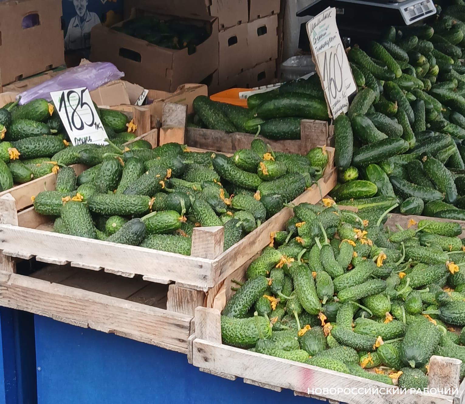 Надо успеть! В Новороссийске последние дни продают грунтовые огурцы