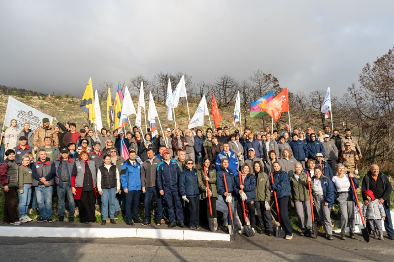 На склонах природного заказника «Абраусский» восстанавливают реликтовый лес