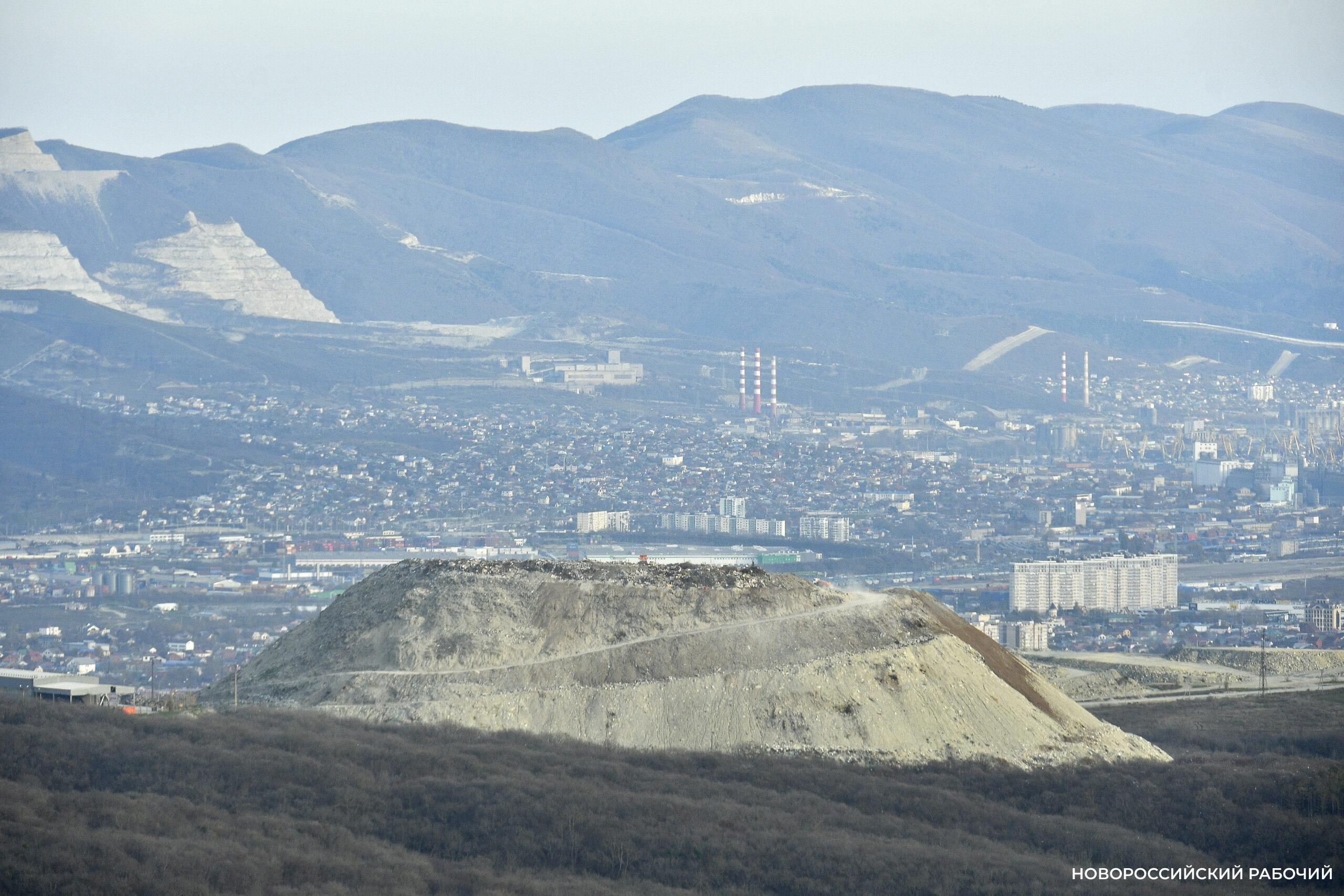 Советы дня на 28 ноября: о пьяном ёжике, рождественском посте и сострадании