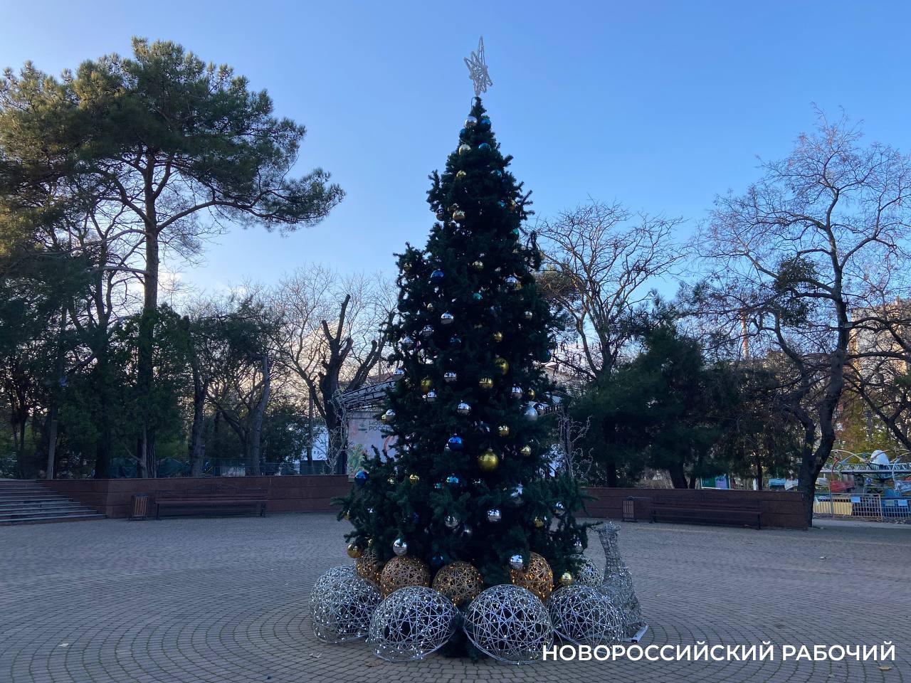 В Новороссийске главную елку поставят до 15 декабря