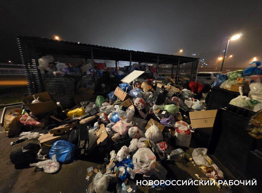 В Новороссийске сокращают людей и количество бригад по уборке мусора. В городе стало чисто?