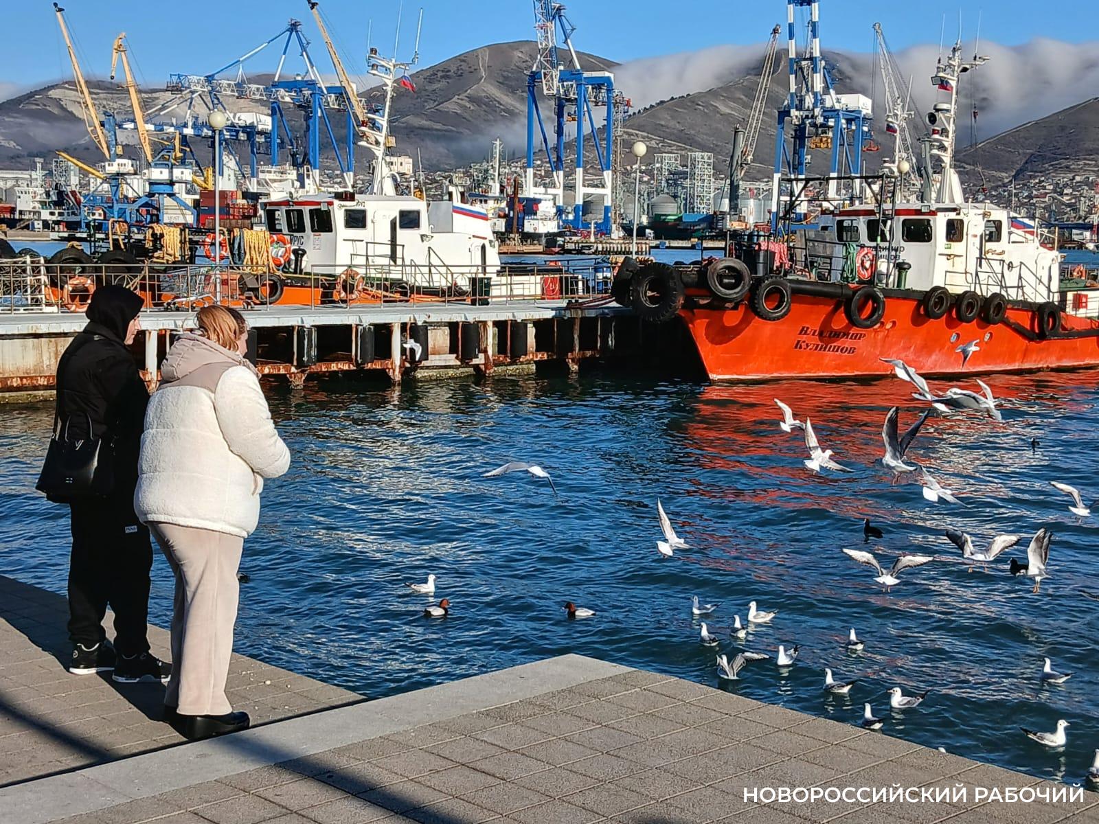 Советы дня на 12 декабря: о приёме граждан, почесывании за ухом и школе шампанистов