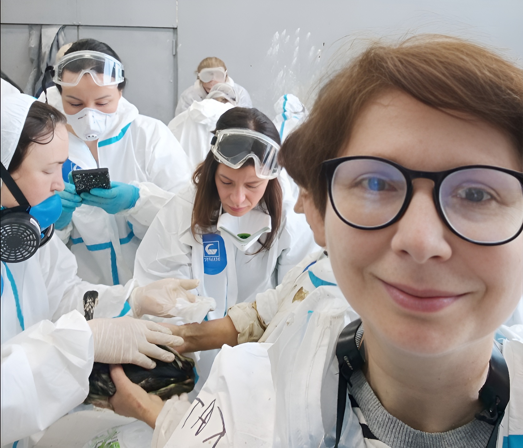 Дети могут быть сильнее взрослых. Выходит книга автора из Новороссийска о волонтерах и дельфинихе Софи