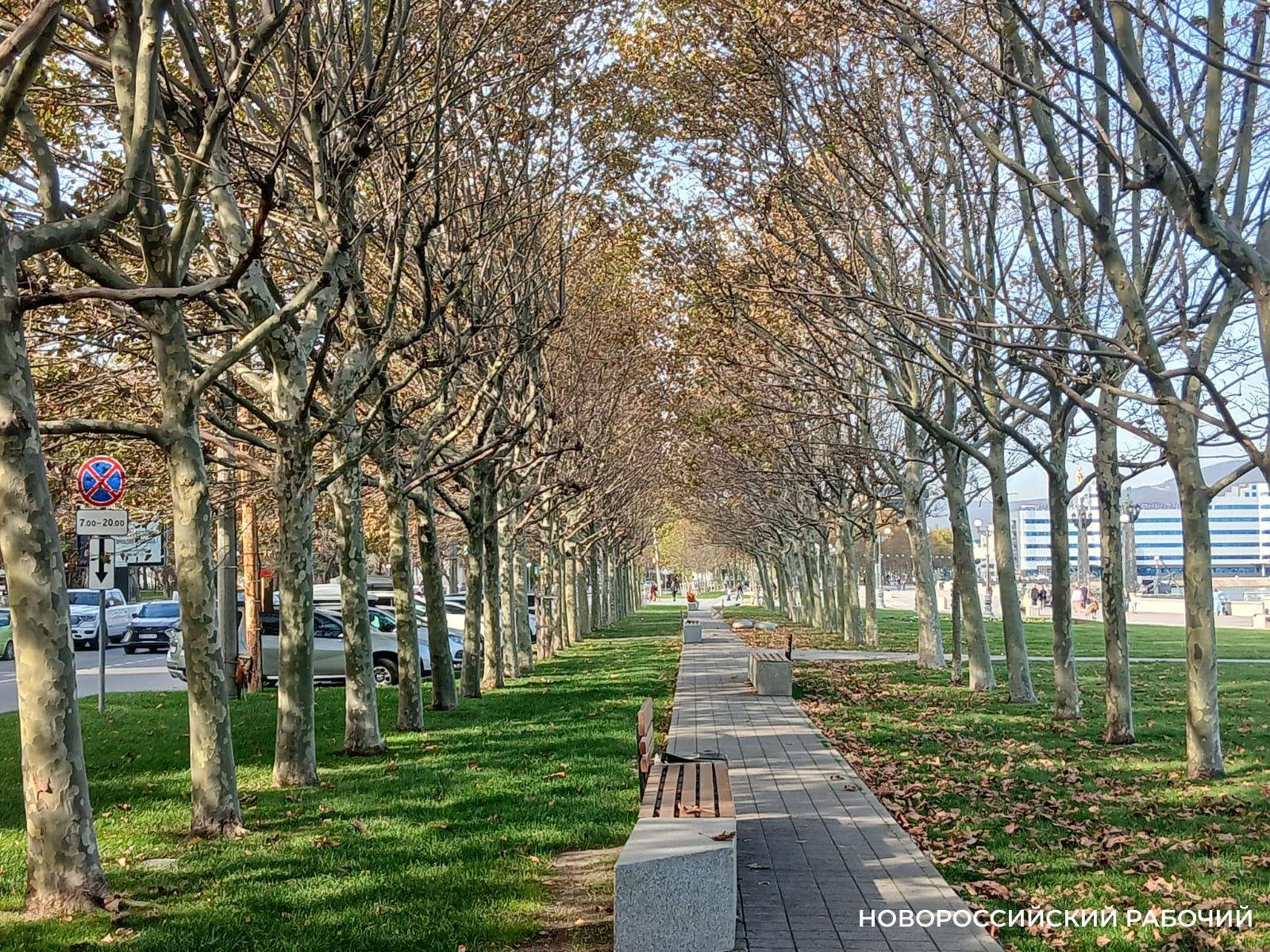 Теплый ноябрь в Новороссийске установил рекорд