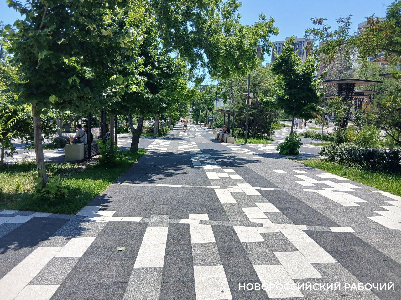 В список рекомендованных растений для Новороссийска включили и тропические, и северные деревья