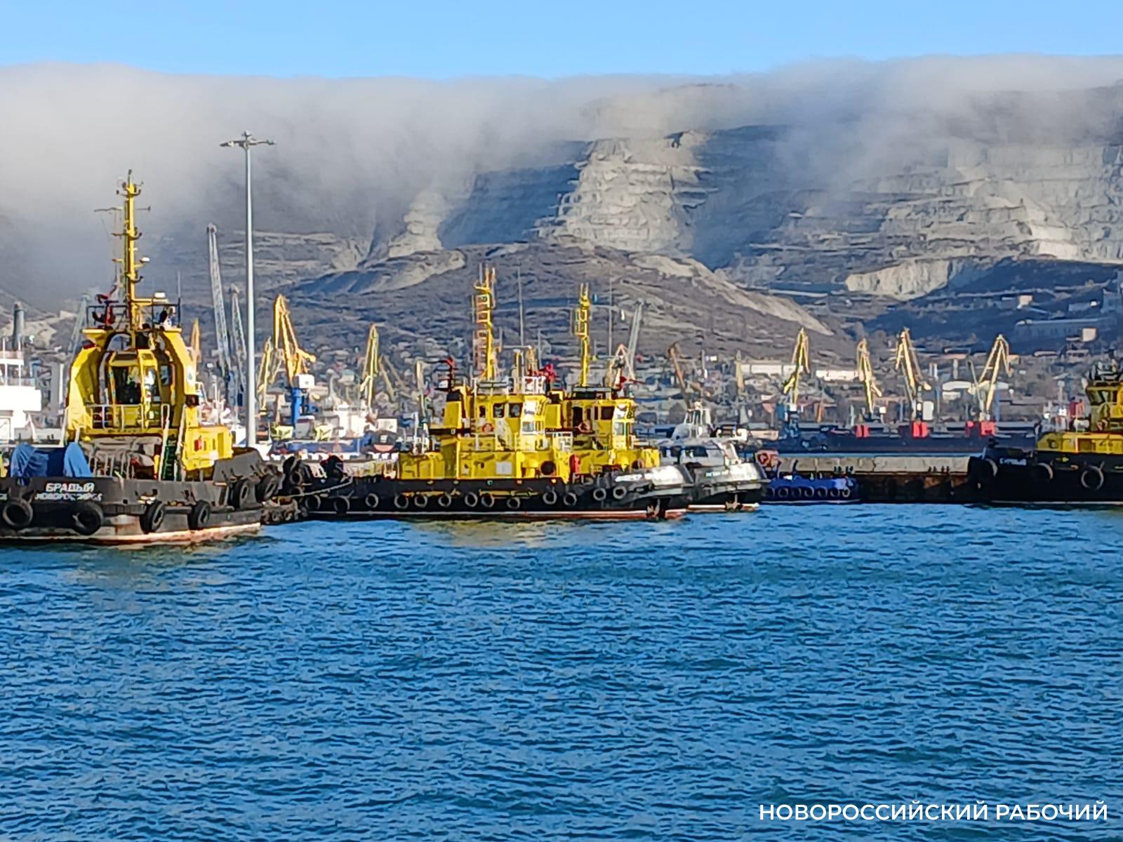 Зимние выходные в Новороссийске: норд-ост не отменил прогулок по набережной