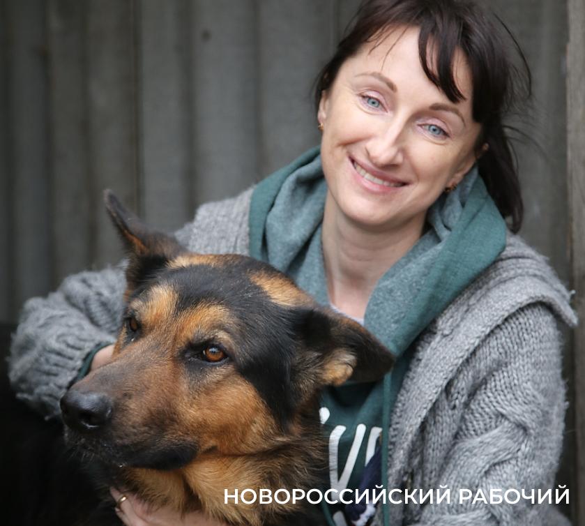 Какая помощь нужна новороссийским пушистикам